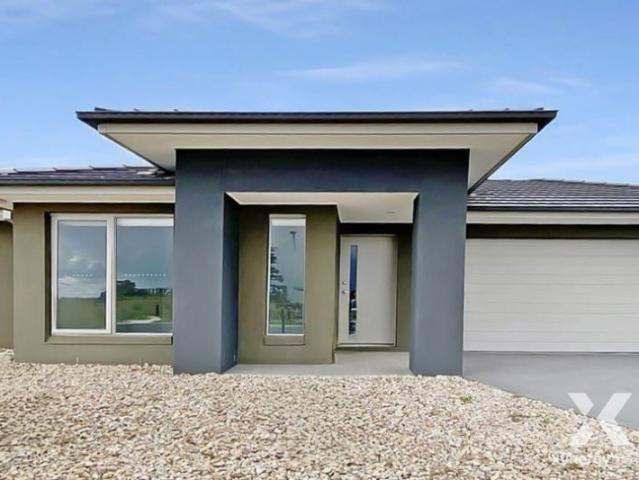Xynergy Realty