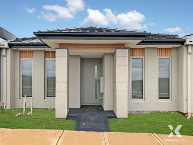 Xynergy Realty