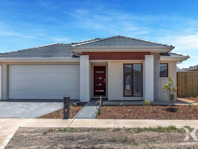 Xynergy Realty