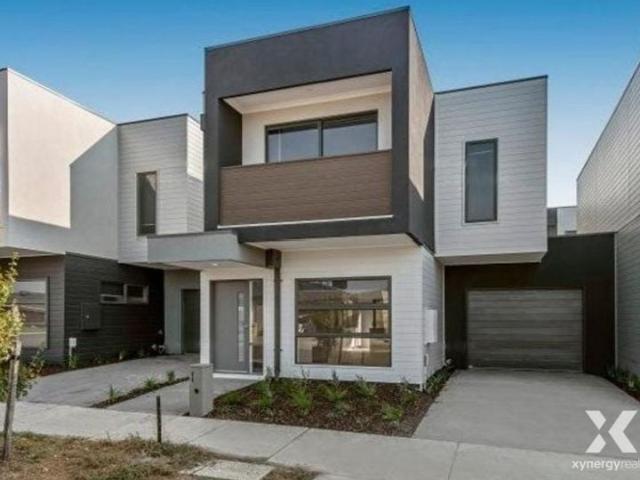Xynergy Realty