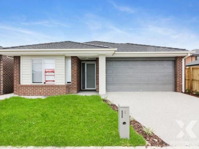 Xynergy Realty
