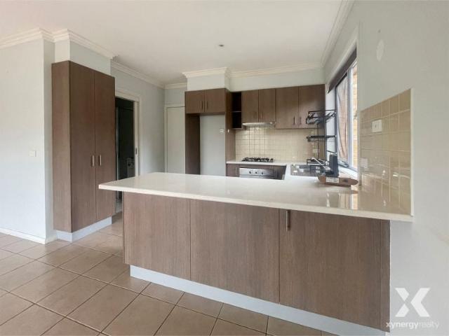 Xynergy Realty
