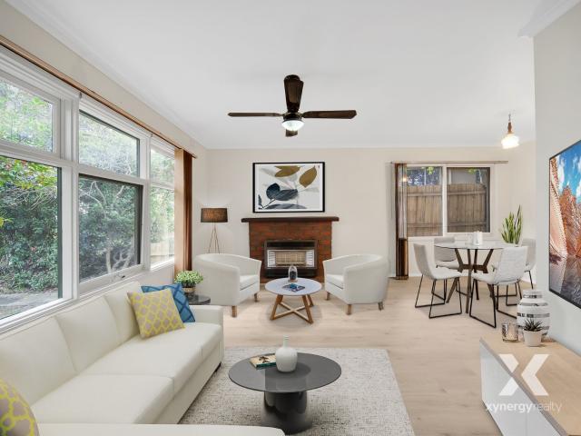 Xynergy Realty