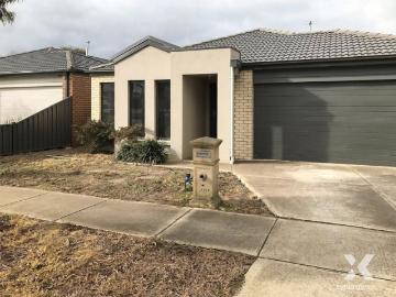 Xynergy Realty