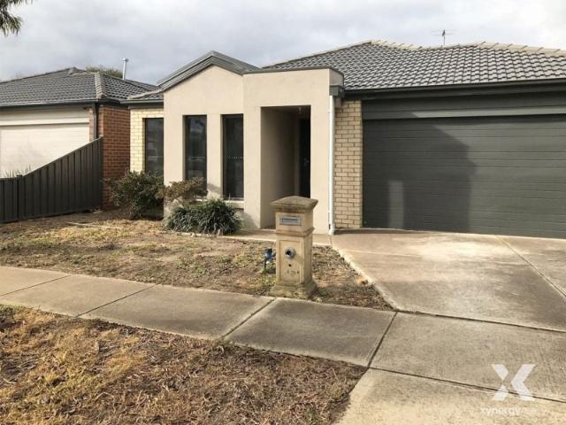 Xynergy Realty
