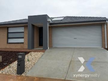 Xynergy Realty