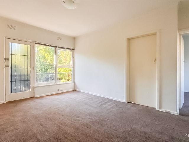Xynergy Realty