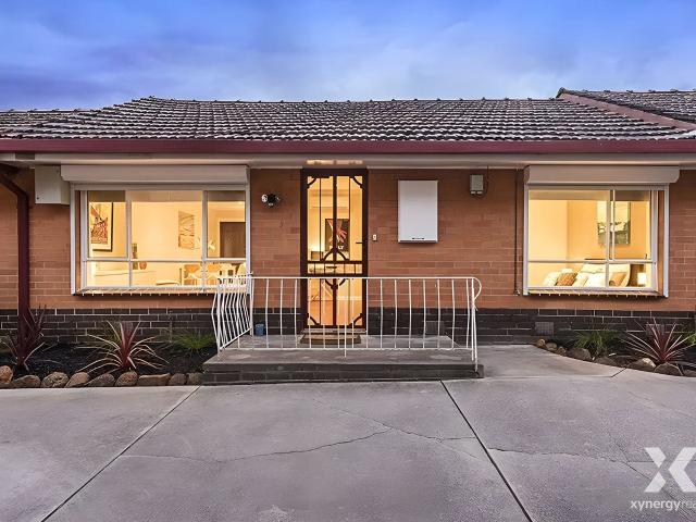 Xynergy Realty