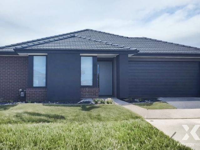 Xynergy Realty