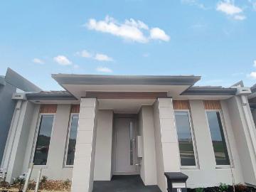 Xynergy Realty