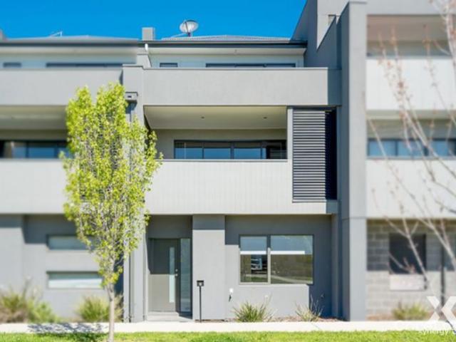 Xynergy Realty