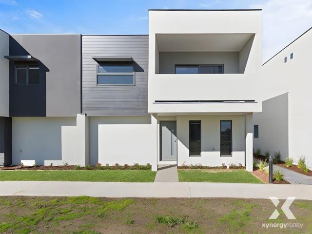 Xynergy Realty