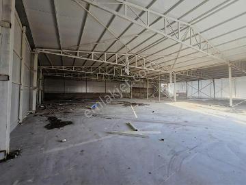 Selçuk Sk, Samanlı, Samanlı, Yıldırım, Bursa, Osmangazi, Bursa ili, Marmara Bölgesi