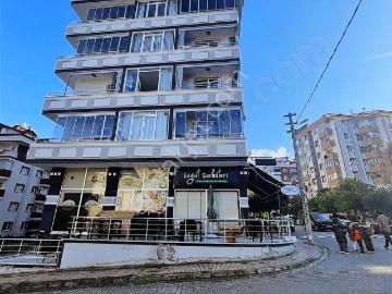 Erdemoğlu Mah , Besni, Adıyaman ili, Güneydoğu Anadolu Bölgesi