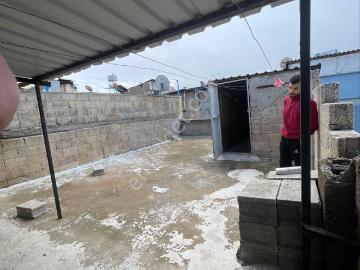 Kıbrıs Mahallesi, Gaziantep, Şahinbey, Kilis ili, Güneydoğu Anadolu Bölgesi