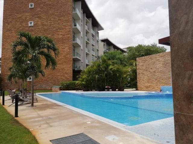 ycc depto.renta s/muebles mv