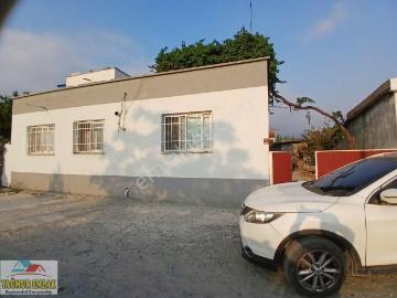 Erzin, Hatay, Akdeniz Bölgesi