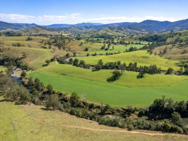 Yamba Woota Angus Stud & First Class Cattle Breeding & Fattening Enterprise
