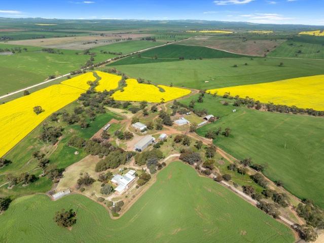 Yandiah Park Appila/Wirrabarra District For Lease | 505 Acres