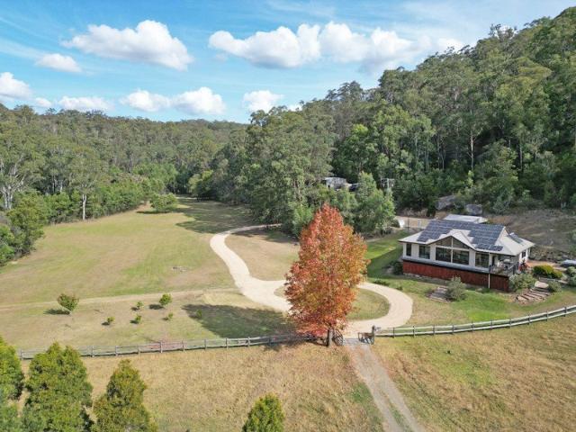 Yango Country Lifestyle Perfection