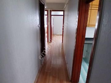 Gaziantep, Şahinbey, Kilis ili, Güneydoğu Anadolu Bölgesi