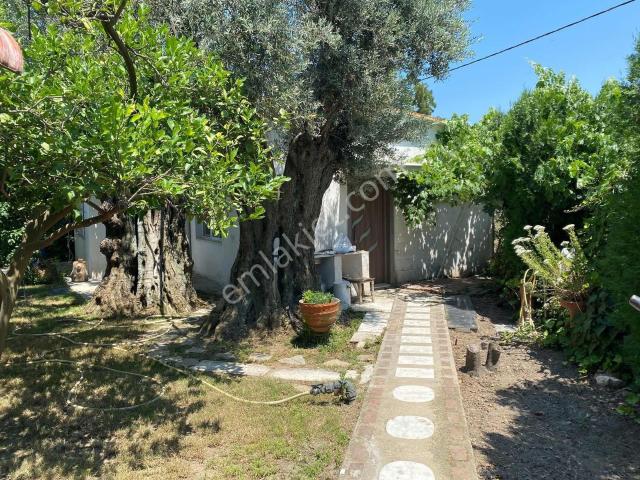 Yalı'da Meyve Ağaçlarıyla Çevrili Eşyalı 2+1 Kiralık Ev