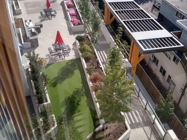 Yaletown Living — 407