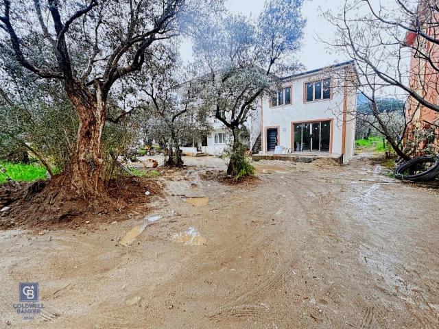 Yalova Armutlunun En Güzel Yeri Fıstıklı Da Satılık Müstakil Ev