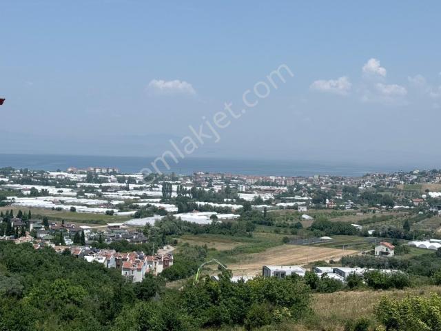 Yalova Merkez Akköyde A+ Kalitede Havuzlu Sıfır 4+1 Lüks Villa