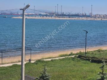 Çiftlikköy, Yalova ili, Yalova ili, Marmara Bölgesi
