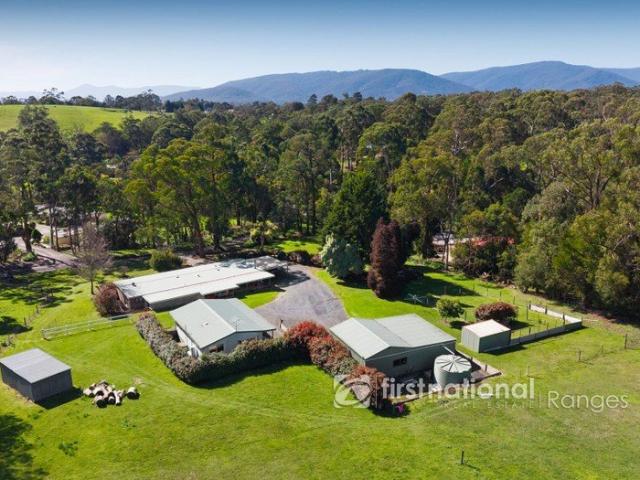 Yarra Valley Living at its Best