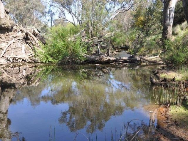 Yass River, Productive River Flats, Farm Forestry, Grassy Hills and a Secret Valley