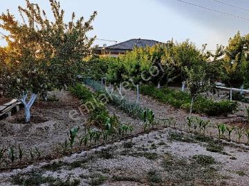 Yazıbelen, Selçuklu, Selçuklu, Konya ili, İç Anadolu Bölgesi