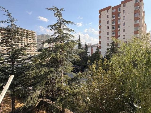 Yenıdoğanda Kiralık Daire