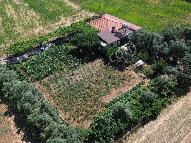 Yerkesik'te 1418m² Bahçeli, Hazır Düzen 4+1 Müstakil Köy Evi