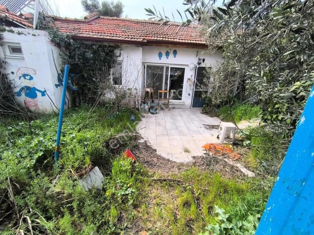 yetki Royal'den Zeytinlide Çook Şirin 2+1 Bahçeli Köy Evi