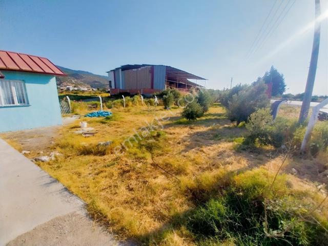 Yolüstü 630m2 Didime 30 Km Sökeye 17 Km Mesafede Zeytinlikli Ev