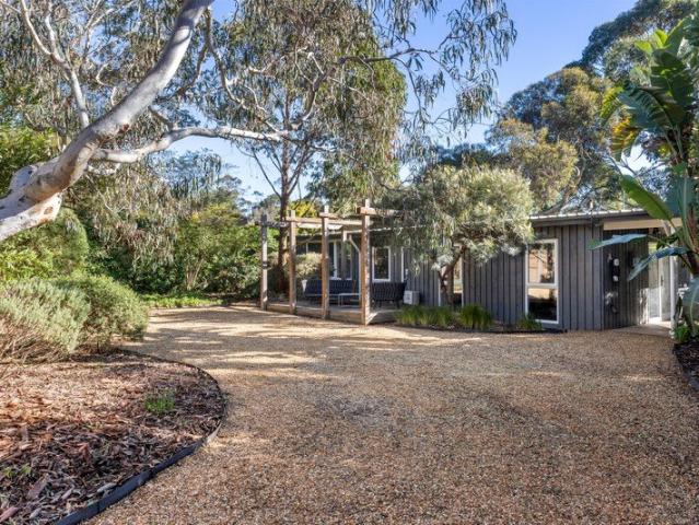 Young at Heart: Renovated 1960s Beach House Among the Gums