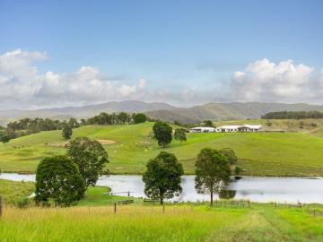 'Young Hills'