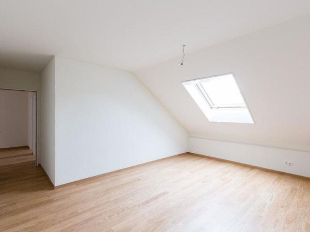 Your modern penthouse apartment for a comfortable stay