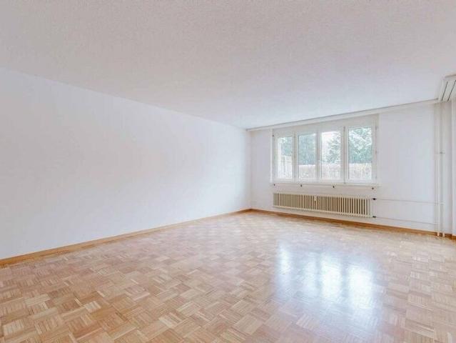 Your newly renovated apartment with terrace