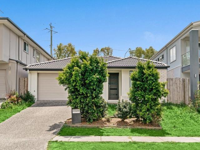 Your Next Chapter Starts on Miava Street!