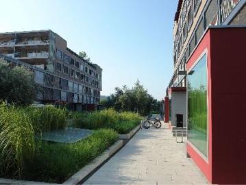 Hegifeldstrasse, Hegifeld, Winterthur, Bezirk Winterthur, Kanton Zürich