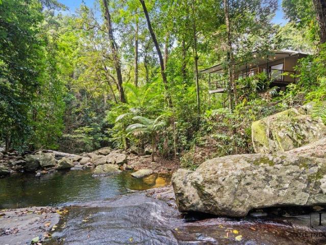 Your Own 5,899m2 Rainforest Retreat | 7 Bedrooms | 12 Minutes From Cairns City
