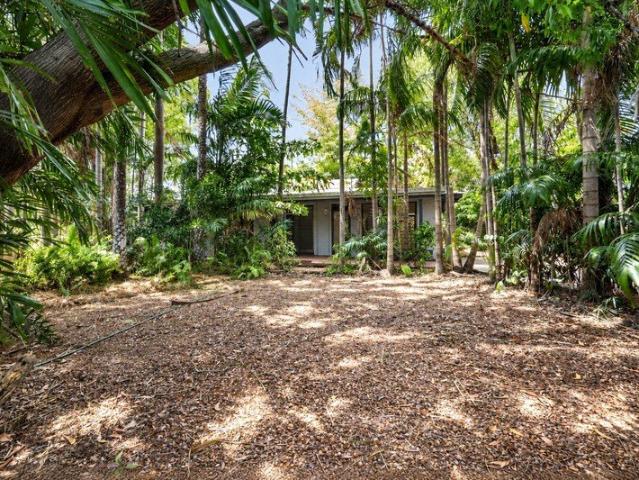 Your Own Tropical Escape in the Heart of Wagaman