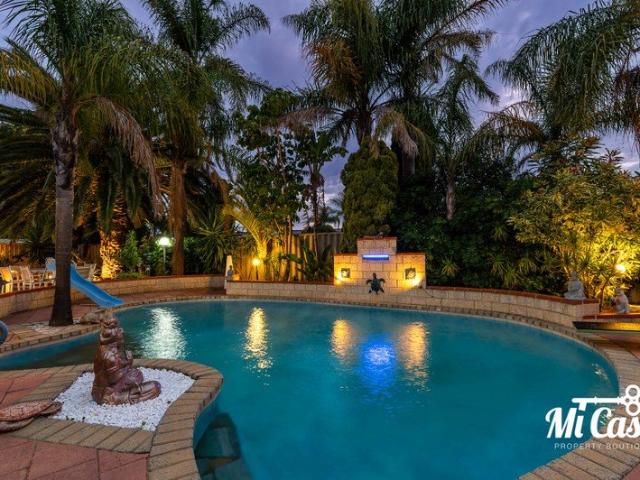 Your Own Tropical Oasis