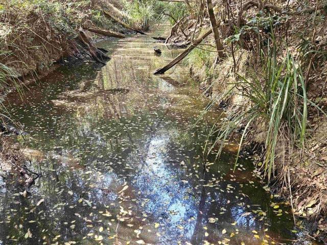 Your Own Bushland Escape