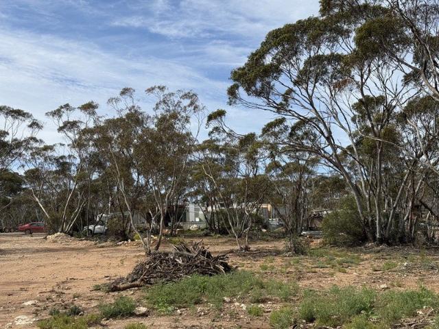 Your Own Patch of Bush, with Room to Escape