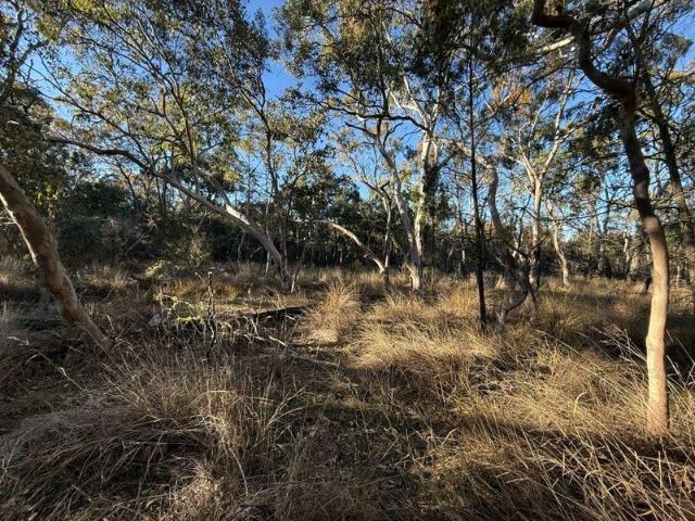 Your own Private natural bushland only minutes South of Stanthorpe