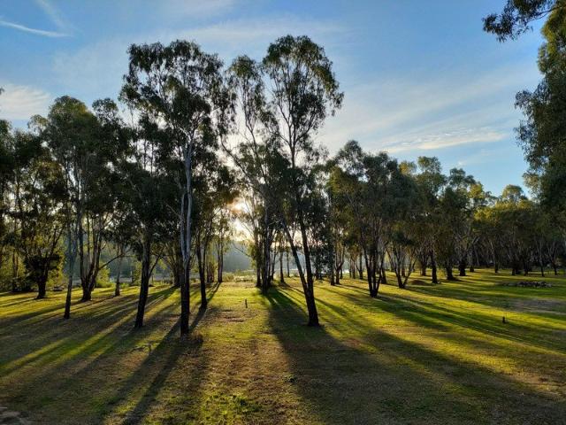 Your Own Private Piece of the Murray On Your Doorstep Tocumwal NSW